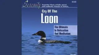 Cry of the Loon