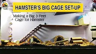 Hamster Cage Set-up || Making a Big 3 Feet Cage for Hamster