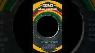 Roots Reggae  Mix Vinyl Classics   1980-1986