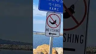 Эти указатели ведут к лучшим местам для рыбалки!