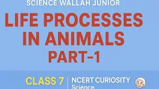 CLASS 7 SCIENCE I LIFE PROCESSES IN ANIMALS PART-1| CHAPTER -9 | CURIOSITY NCERT | NEP CBSE KVS
