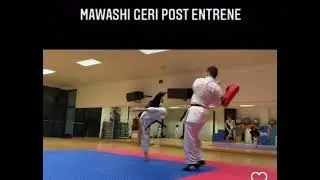 Mawashi Geri post entrene.