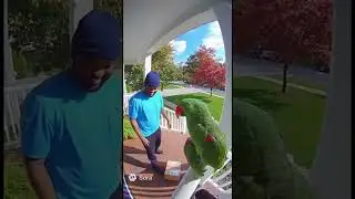 Be #careful #parrot