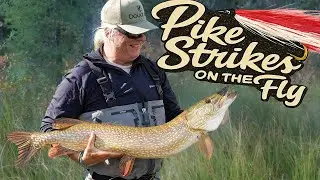 Pike Strikes on the Fly, Northern BC with Tim