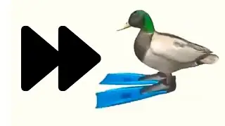 Rotating duck but its gradually speeding up from 0 to 400%