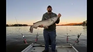 high rock lake North Carolina cat fishing