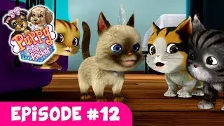Puppy In My Pocket - Webisode #12 