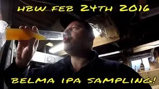 Belma IPA Gravity Sample and Dry Hop
