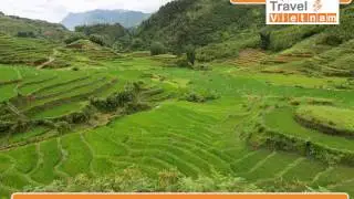 Real Sapa Experience, hike in Sapa - Ta Van - Giang Ta Chai Villages with Friends Travel Vietnam