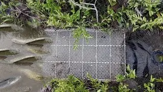Amazing! Extremely Creative Boy Dig Deep Hole Fish Trap Using Fan Guard To Catch A Lot Of Fish