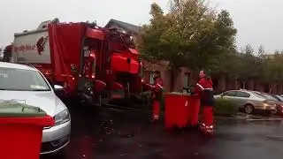 The city bin co collecting green bins