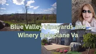 GoPro! Blue Valley Vineyard and Winery What a View
