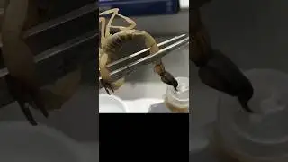 WORLD'S MOST EXPENSIVE LIQUID 🦂 #expensive #liquid #shorts