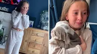 Little girl has priceless reaction to new puppy