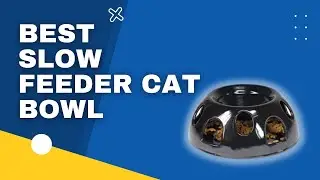 Top 3 Best Slow Feeder Cat Bowl in 2023