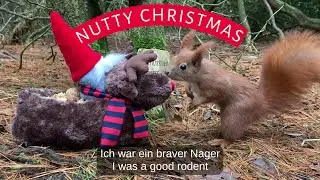 Eichhörnchen Entertainment - Flauschiges Rentier | Squirrel Entertainment - Fluffy Reindeer