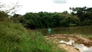 Esse chapinha n&atilde;o perde um   #fisgada #peixao #fishon #goiasrecord #fishingvideo