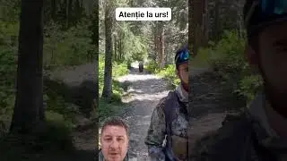 Atenție la urs. Un spray te poate salva #urs #padure #spray #viral