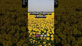 The Zodiac Signs as Flowers! #astrology #zodiacsigns
