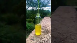 ✨Satisfying liquid gold pour #oddlysatisfying #turmeric feat Wabi Sabi cosmetics and tumeric oil
