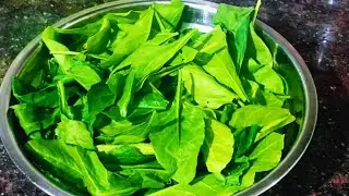 Paalak ke Kofte ki Sabzi | Healthy & Delicious Recipe @dollyabhishekmishra #cooking
