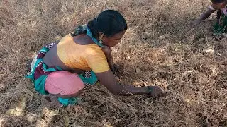 Village Life आदिवासी जीवन 