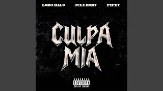 CULPA MIA