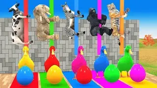 Long Slide Game with Cow Elephant Gorilla Hippopotamus Tiger 3d Animal Game Funny 3d Animals