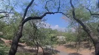 5.09.19 Shooting Tree Gaps