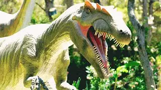Wild animals transform nature into beauty. How beautiful it looks because of the variety of animals