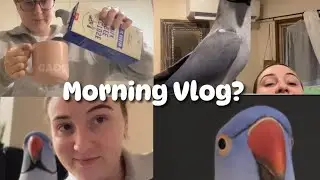 Morning Vlog?