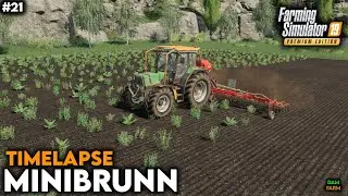 Weed removal, fertilization, soybean sowing & contract - FS19 Timelapse (Minibrunn) | #21