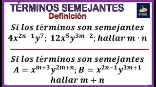 TERMINOS SEMEJANTES 01: Definición y Ejemplos