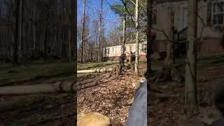 Pap being filmed for a new Ax Men episode