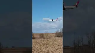 Boeing 737 Turkish Airlines Landeabbruch in Stuttgart 17.02.2022