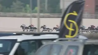 الشوط السادس ( الغادي اسطبل السماوي )