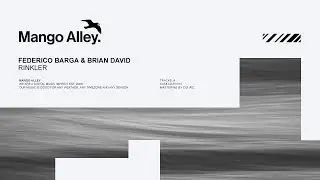 FEDERICO BARGA & BRIAN DAVID Rinkler