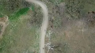 Dark Corner Road