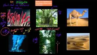 8. Adaptations and the environment (Preliminary biology)
