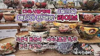 극민군생 맛집~~하정분구경 오세요