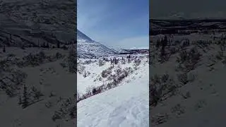 Denali State Park