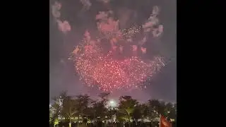 Beautiful Fireworks Display Kuwait National Day 2025