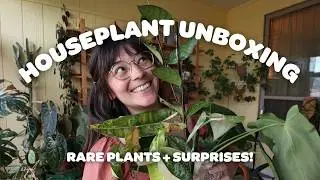 RARE HOUSEPLANT UNBOXING! 😱 I did not expect these plants...