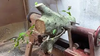 Beetle Wood Turning Technique   Turn a three pronged log into a bowl with an extremely natural mouth