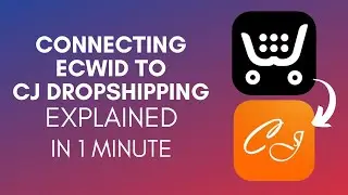 How To Connect Ecwid To CJ Dropshipping? (2024)