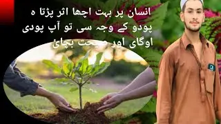  Tarnab farm peshawer nursery location main GT Road high secondary school 🌻🌹🌷🌿🌵🌱☘️🍁