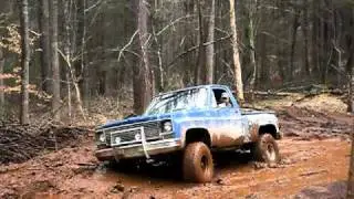 bumpus cove fun