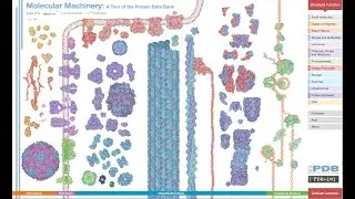 Molecular Machinery: A Tour
