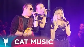 directia 5 - LOVESTORY SONG (Official Single)