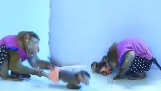 SokYaa Sibling Steals From Newborn While Mom Pretends Not to See